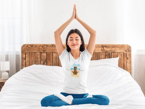 Ne utálj, meditálj vizsla póló